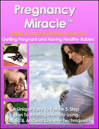 Pregnancy Miracle System
